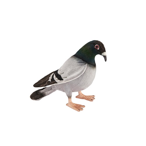 Pigeon peluche
