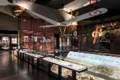 Billet Combiné Mémorial + 2 Forts / Adulte